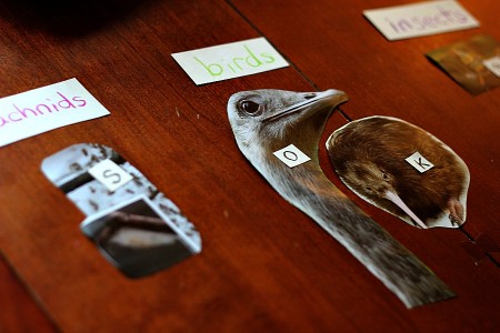 phonemic awareness and classification with zoo magazine pictures | guest post by @aubreyhargis on @teachmama #weteach