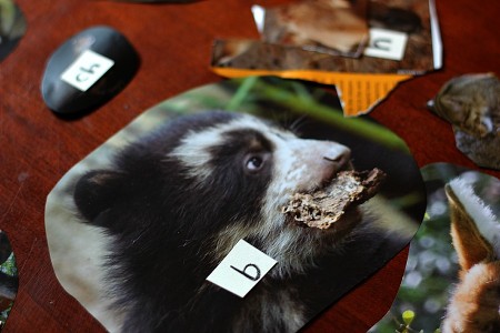 phonemic awareness and classification with zoo magazine pictures | guest post by @aubreyhargis on @teachmama #weteach