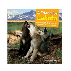 teachmama gift guide lakota