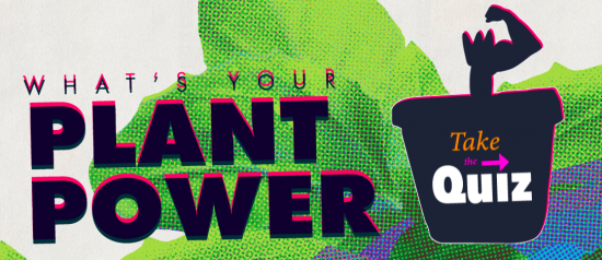 what your kids MUST know about plants | BLOOM! teachmama.com