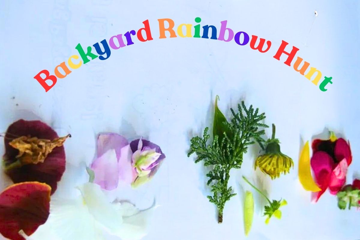 Natural materials making rainbow colors