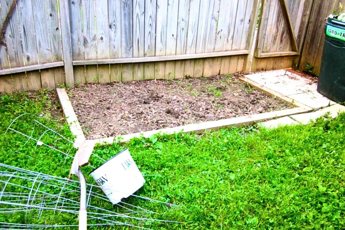 Garden bed and tomato cages