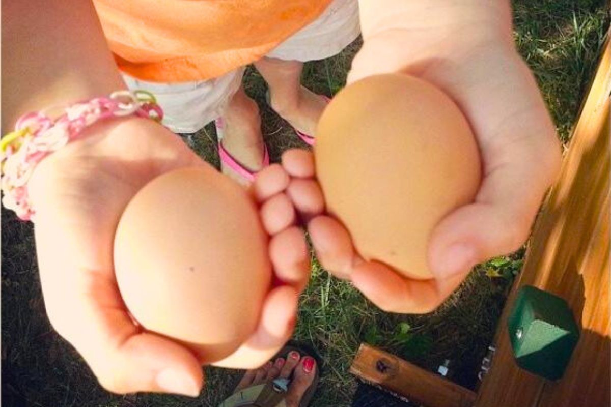 Child's hands holding eggs