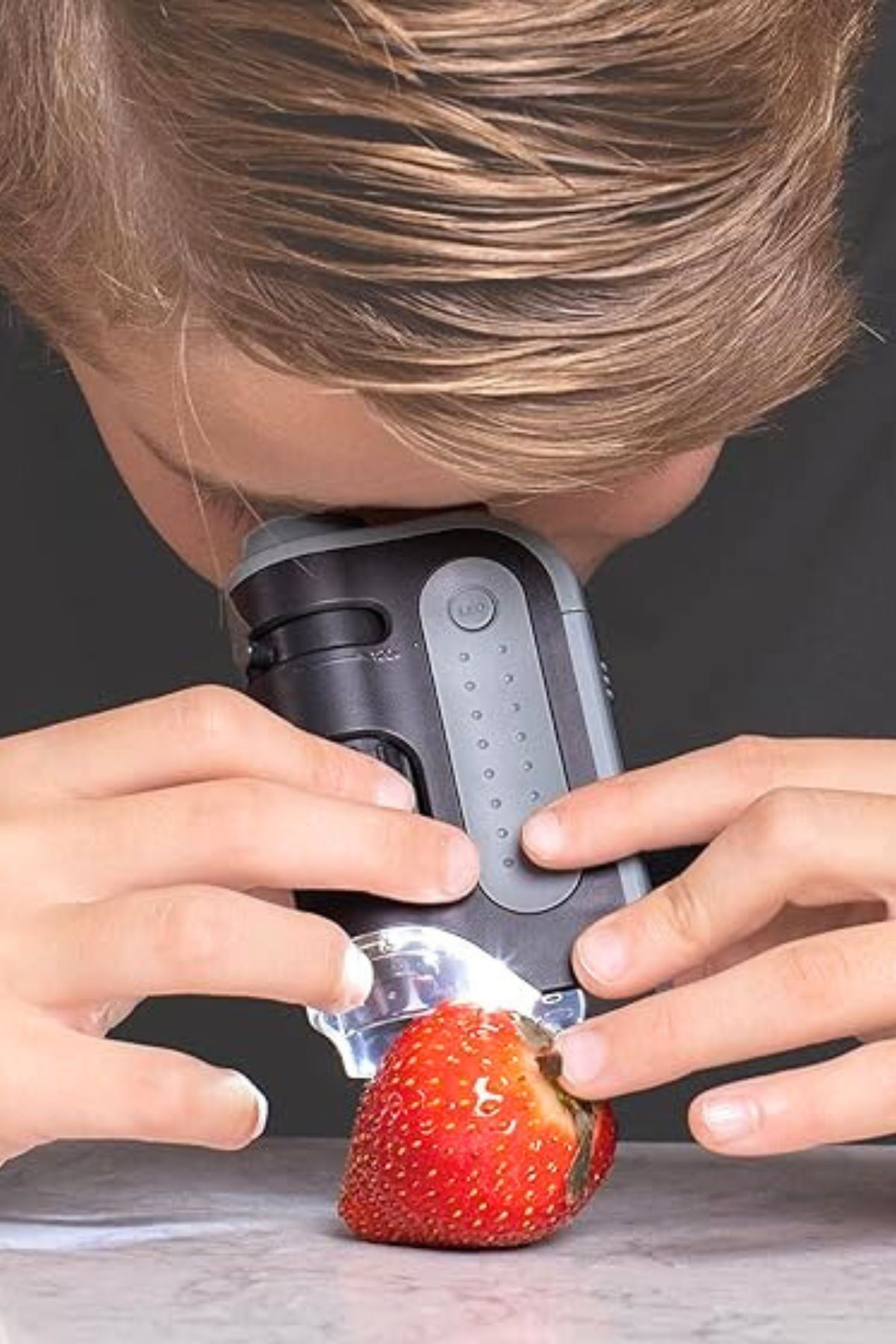 A boy holding a small microscope up to his eye examining a strawberry