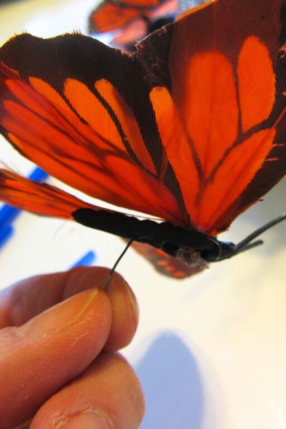 Orange silk butterfly