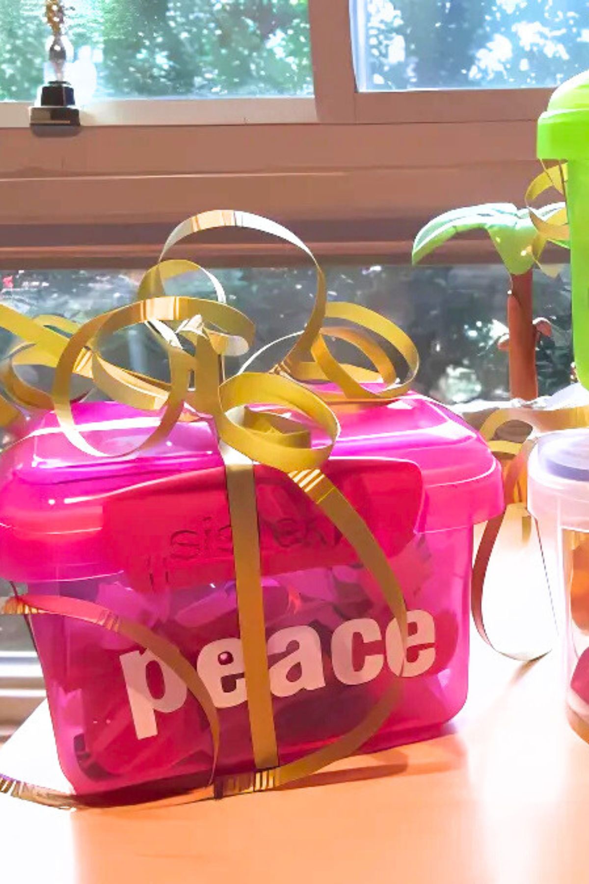 Pink plastic container tied in a gold ribbon with the word peace in white letters