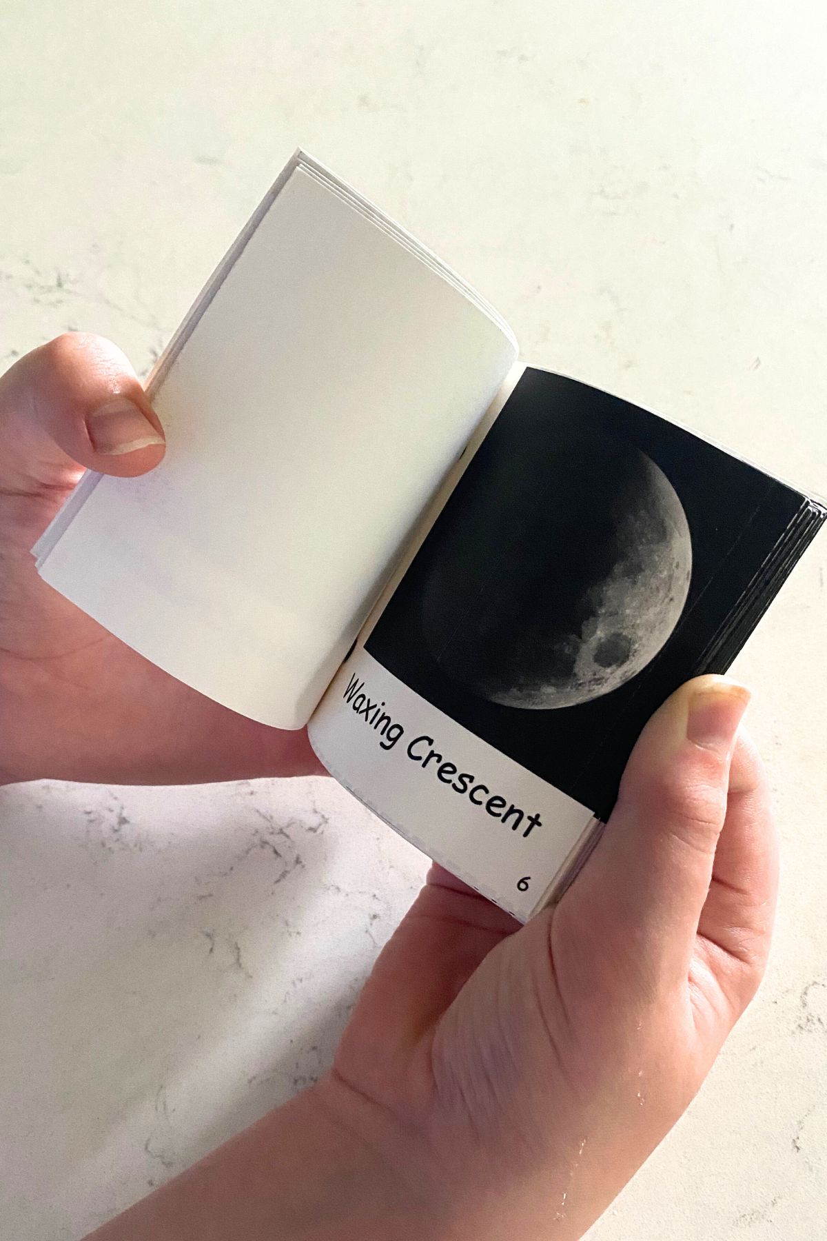 Child's hand holding the printed and assembled moon phase flip book open to a crescent moon