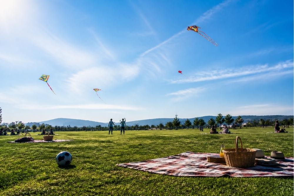 people flying kites and picnicking in a sunny park