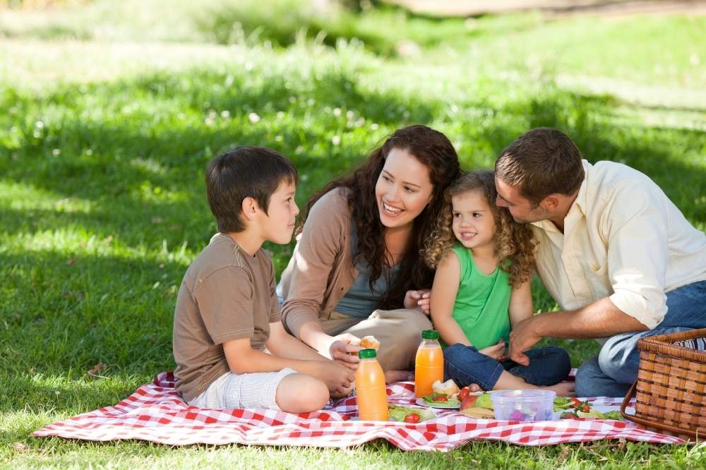 Family picnic