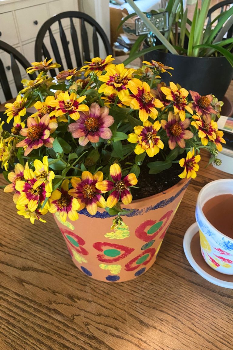 Terra cotta pot with red hearts and green dots painted on it planted with live yellow and red flowers on a wooden table