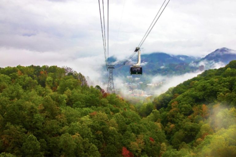 Plan It Right What to Know Before Your Next Family Getaway
