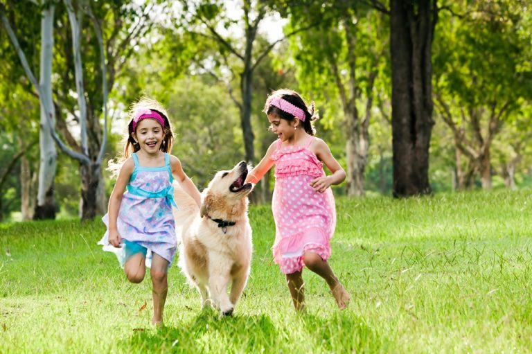 The Hidden Curriculum of Pet Ownership Life Skills Kids Learn Without Realizing It