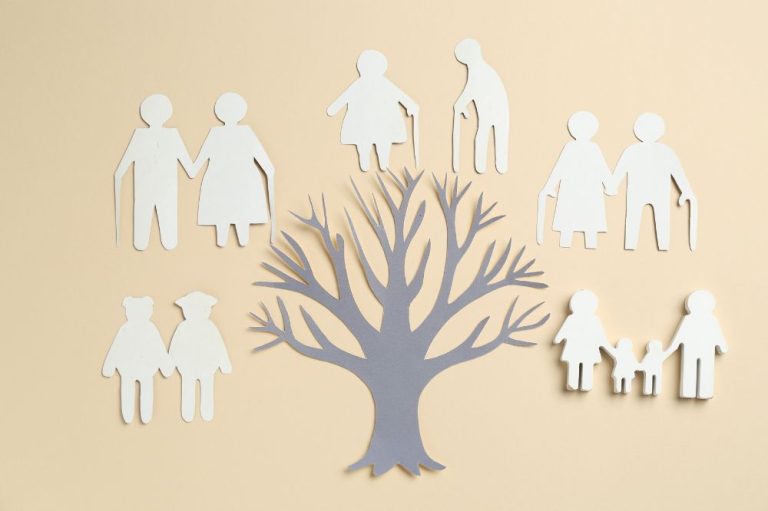 Turn Family History Into Homework Gold A Step-by-Step Family Tree Project for Kids