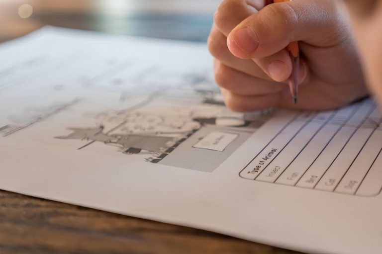 Creating A Productive Homeschooling Environment