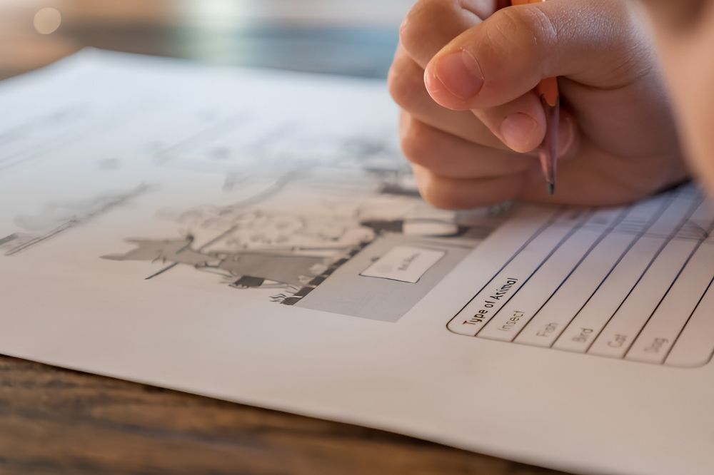 Creating A Productive Homeschooling Environment