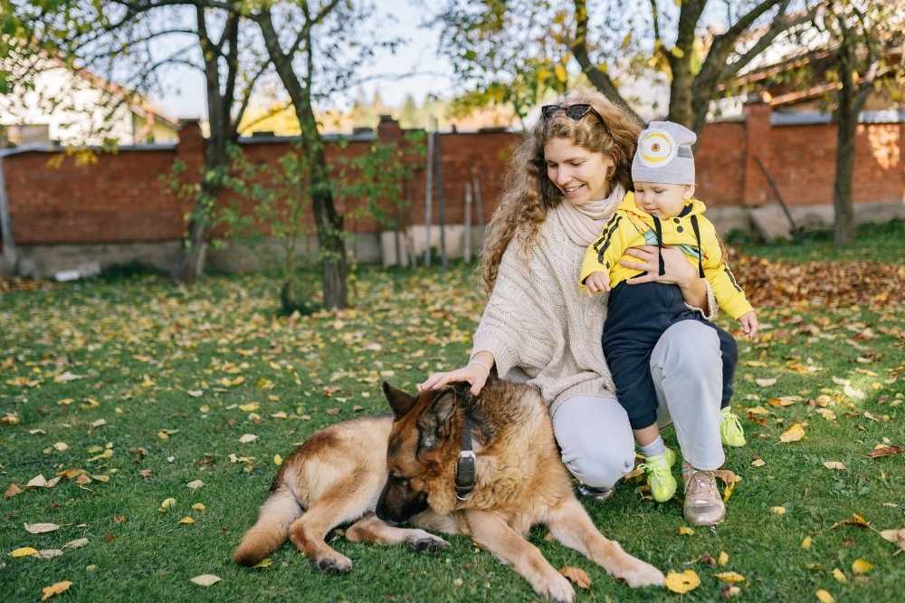 Mother and son enjoy a fall day outdoors with their dog
